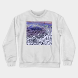 The Nucleolus Crewneck Sweatshirt